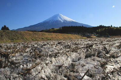 令和6年度静岡県議会だより写真コンクール冬の部特選作品